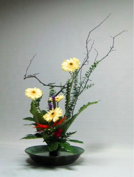 北京园博园游玩攻略秋季,北京园博园春日打卡好地方