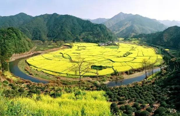 安徽春天去哪看花,安徽春天赏花攻略景点推荐