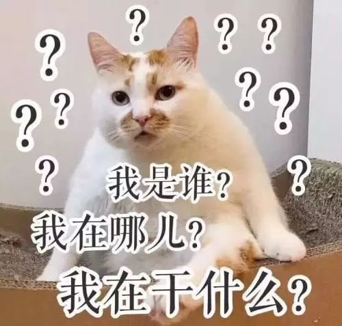 什么?让我拿马应龙涂脸?还说对能消黑眼圈?!