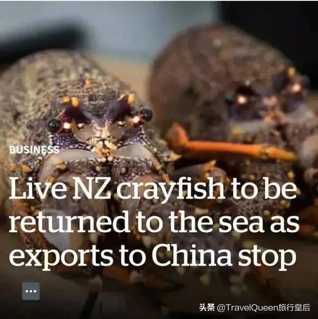 如果没有中国游客,世界该有多无聊