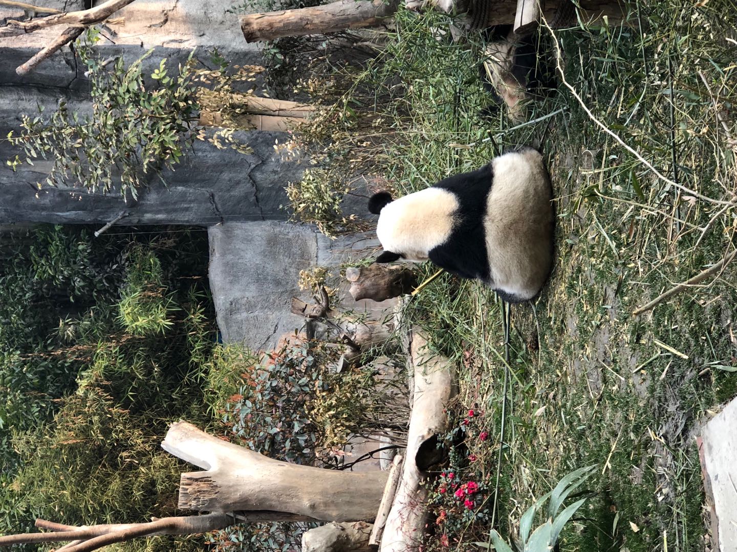 川藏南线旅行日记 (川藏线美丽的大中国)