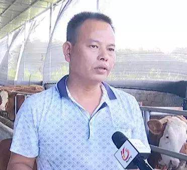 「创业」马宁镇苏新兴：发展种养业带领村民增收致富