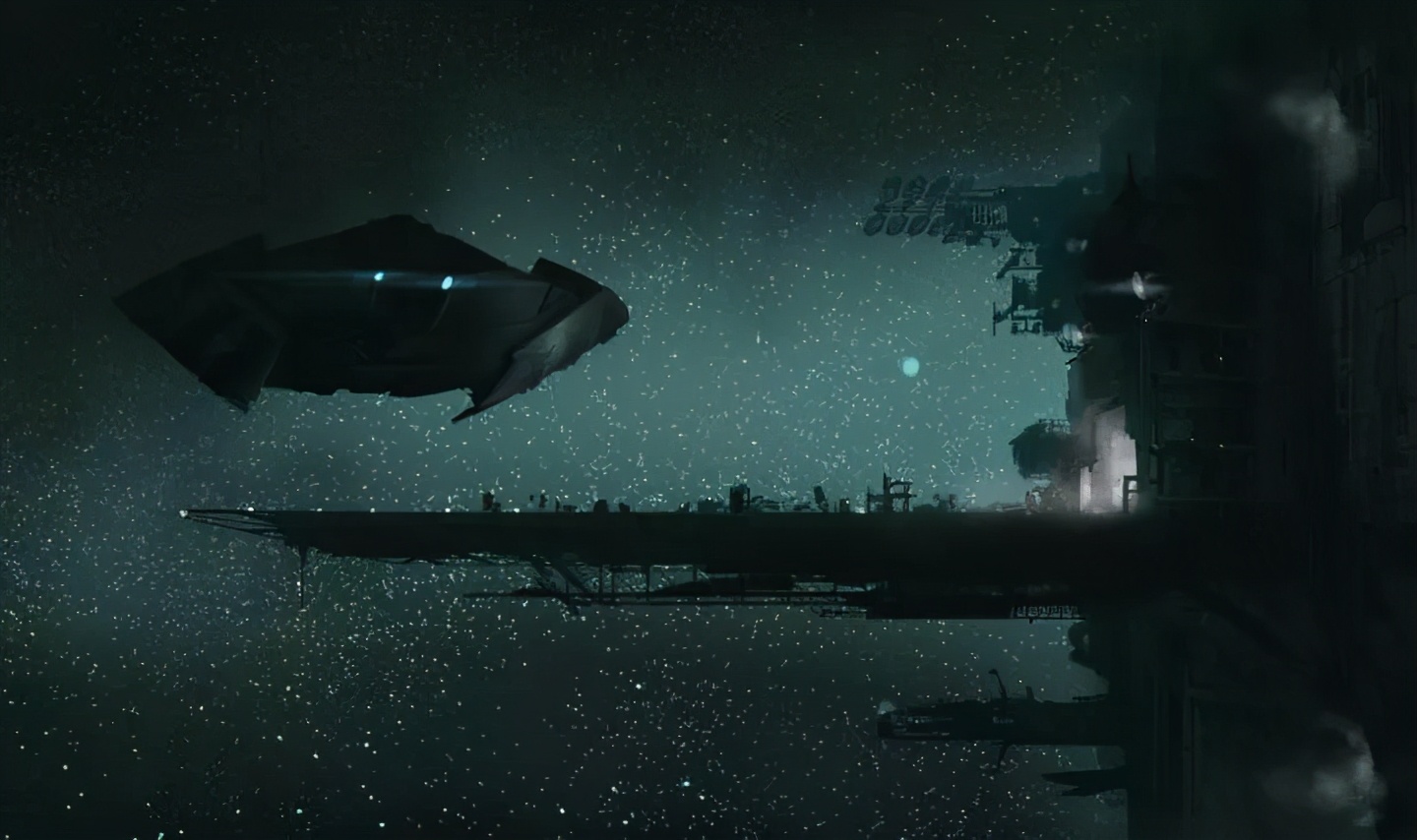 兔子这个名字的由来,兔子这种动物为什么这么可爱