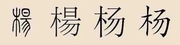 我姓杨怎么介绍,姓杨的个人简历
