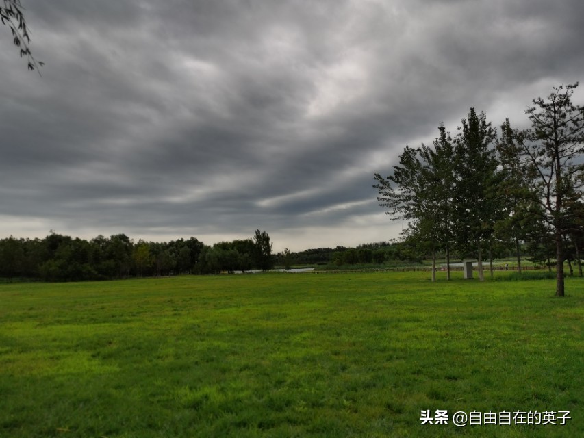 南海子湿地公园攻略,南海子湿地公园分布图
