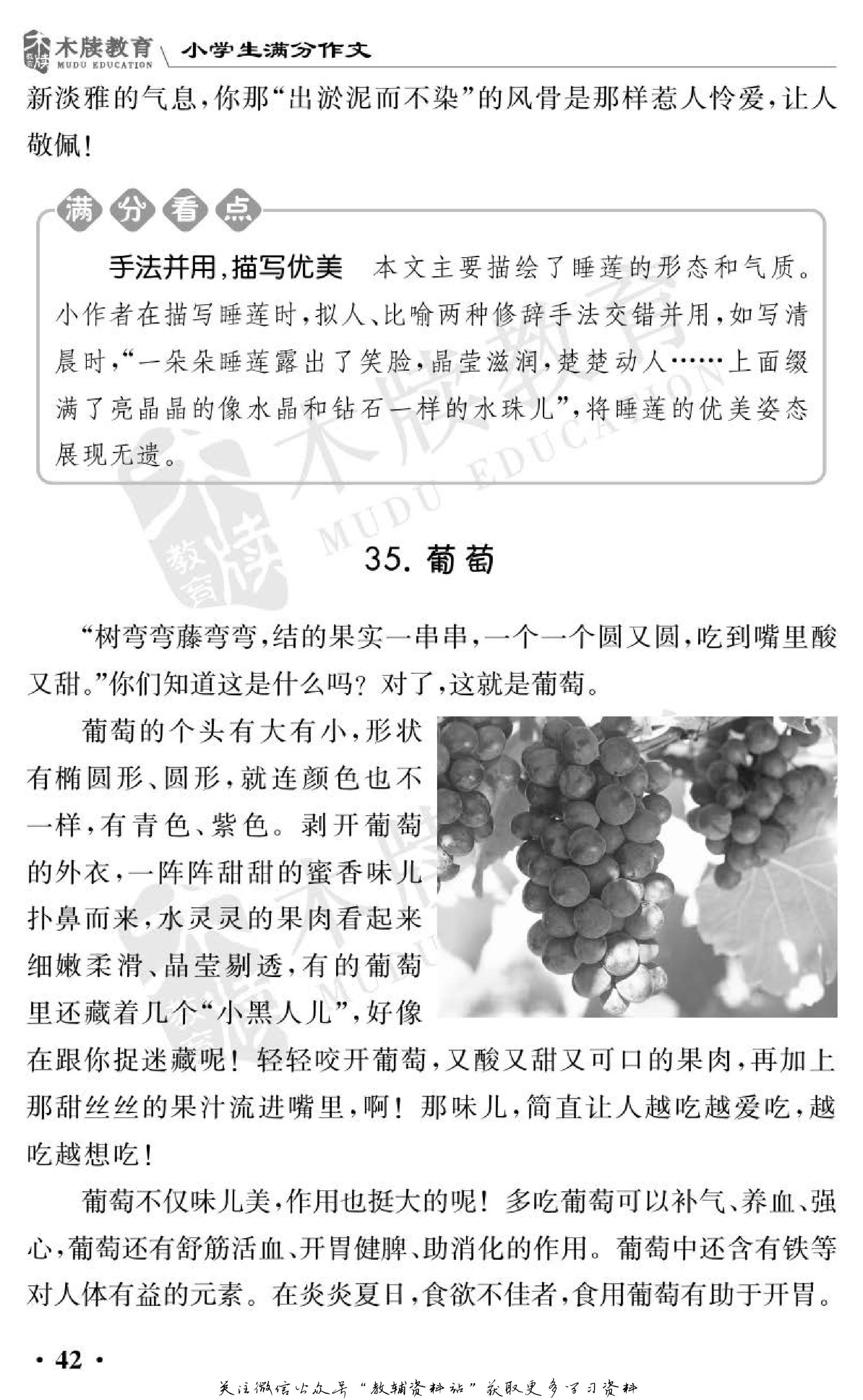 小学语文通关宝典,小学教育通关宝典