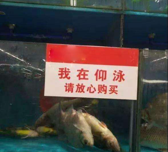 分享创富最佳方法,分享快速致富好项目