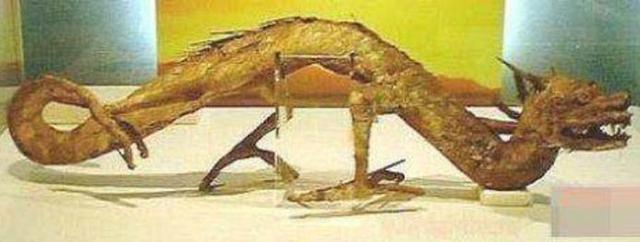 地球十大巨型未知生物,地球未知生物档案解密