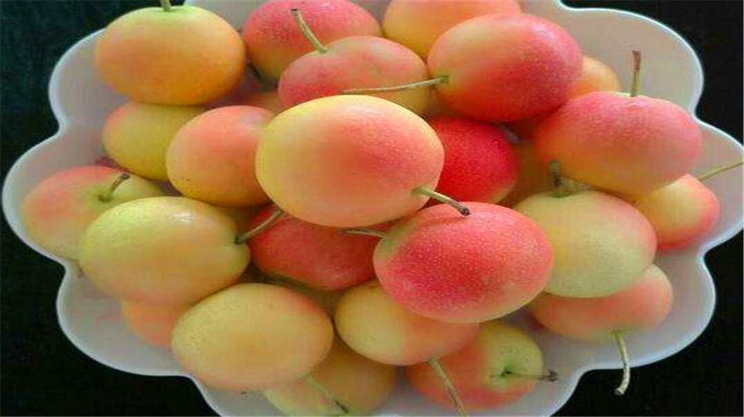 寒露季节要注意吃什么水果,寒露节气最佳水果