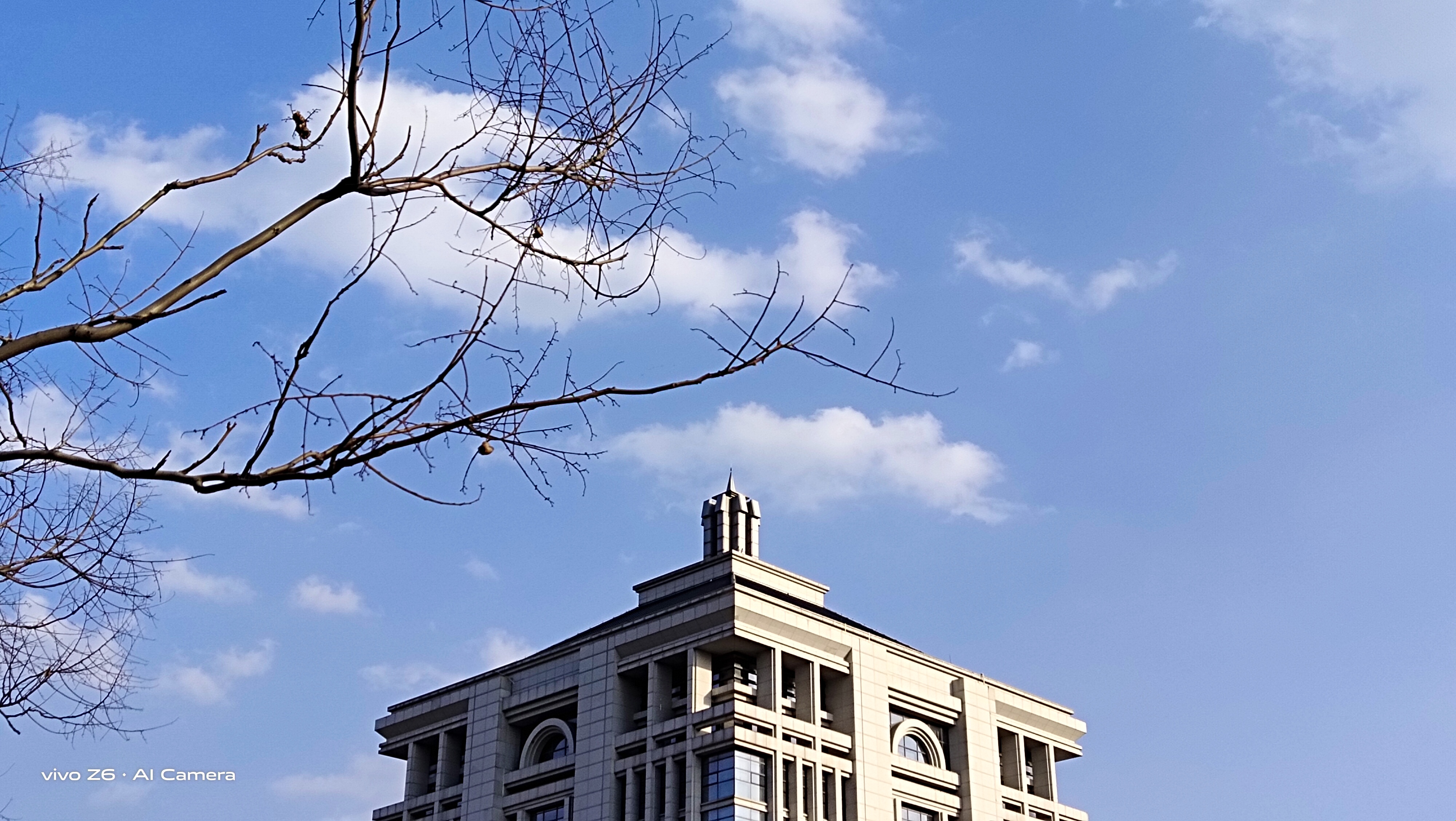 最好用的5g手机vivoz6,十大性价比最高的手机vivoz6