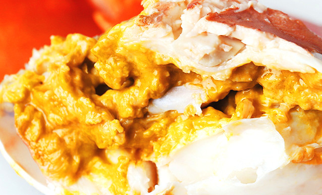 青蟹老蟹和新蟹哪个好吃,青蟹和膏蟹的区别在哪里