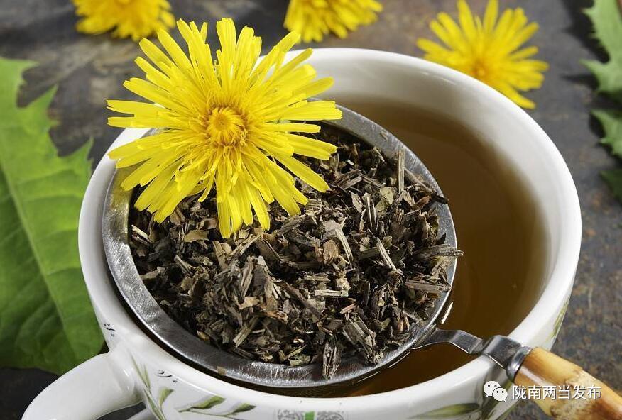 茶香四溢的蒲公英茶,清新蒲公英茶满满自然滋味