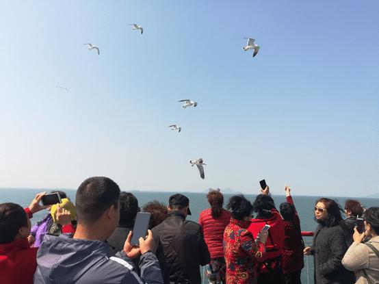 韩国和哪个国家说一样的话,韩国和我们现在的关系