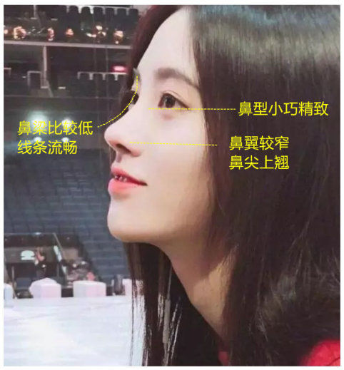 什么样的鼻子好看,怎样的鼻子才是好看的鼻子