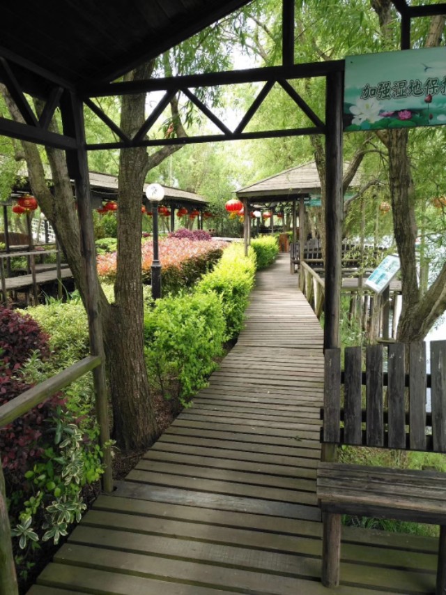 太湖世外桃源岛,苏州太湖三山岛简介