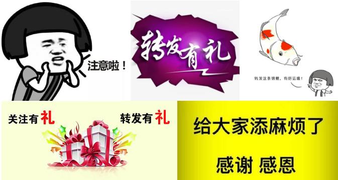 宝宝食物过敏到底要不要查过敏原,宝宝过敏宝妈忌口吃什么主食