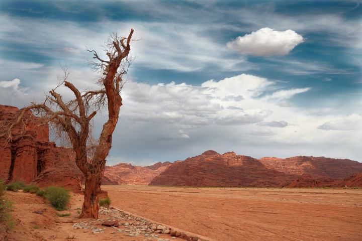 全新疆旅游景点地图,新疆阿克苏南疆旅游景点