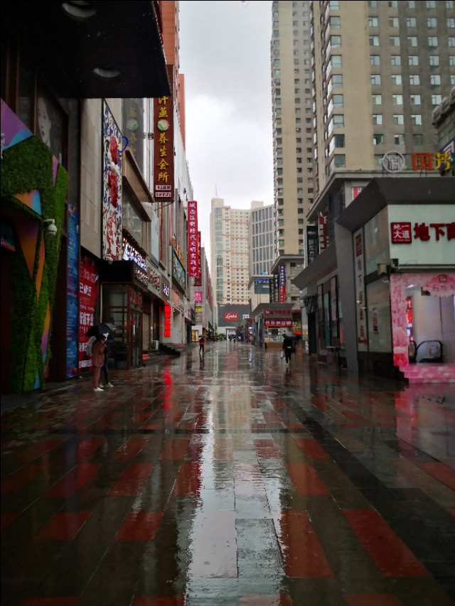 西宁之夏丨遇见美丽的凤仙花