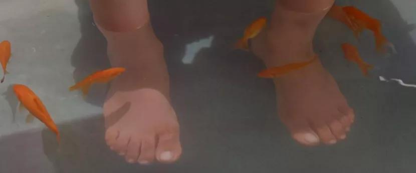 苦难教育视频,苦难教育愧疚教育