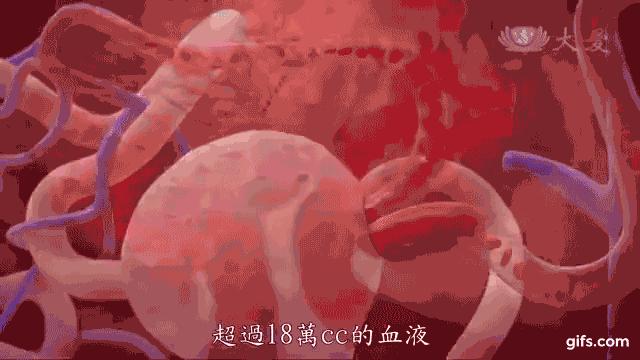 肾友怎么治疗,怎样才能降低肌酐肾科医生告诉你