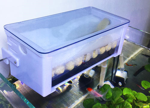 养龟要上过滤还是下过滤,养龟沼泽过滤好还是滴流过滤好