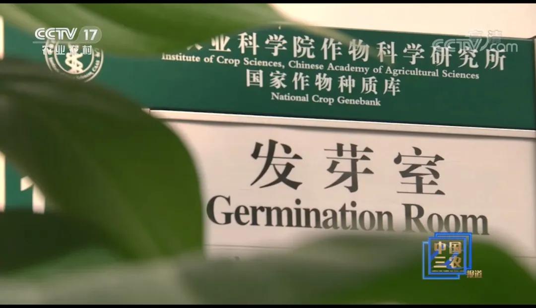 什么样的种子可以确保品相一样,种子如何进入种质库