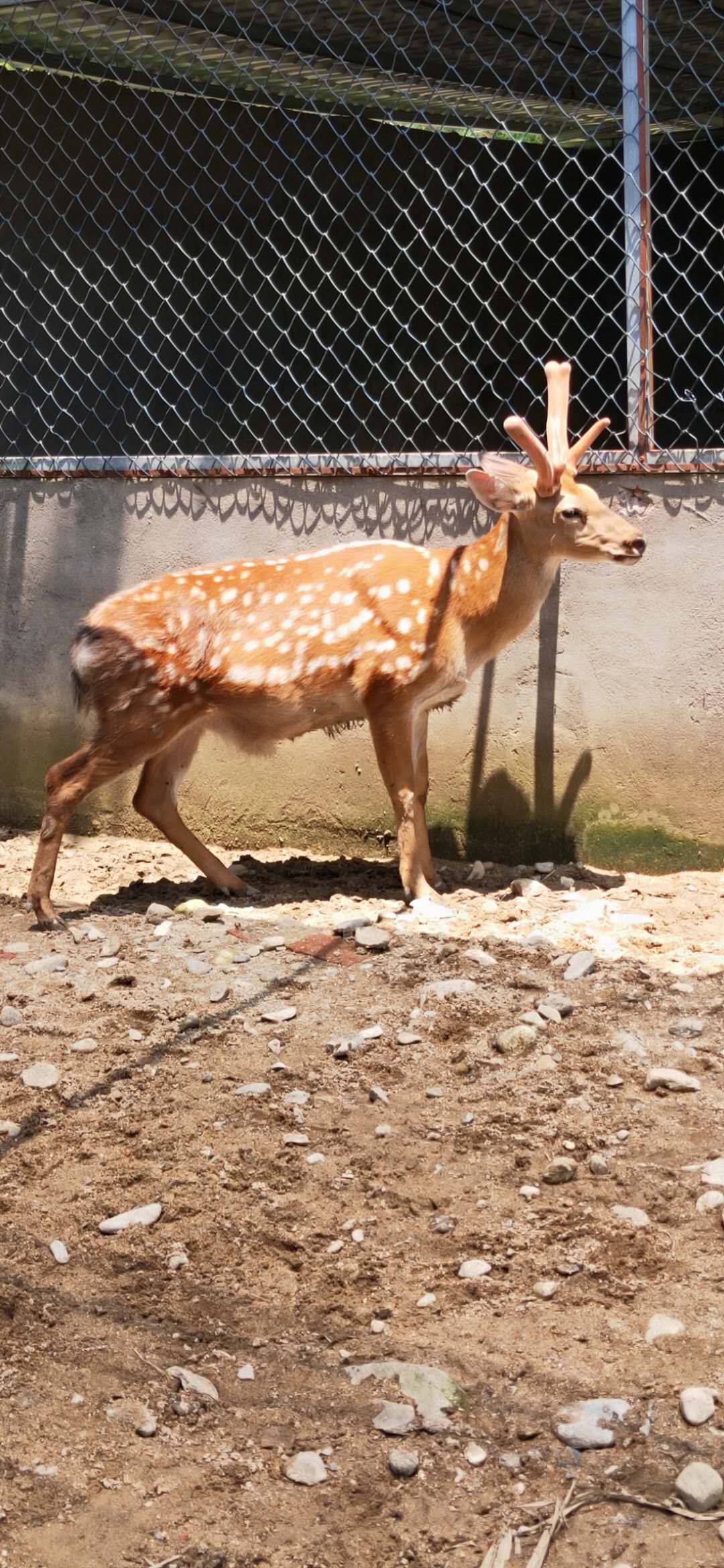 梅州丰顺金德宝温泉,丰顺金德宝温泉度假村