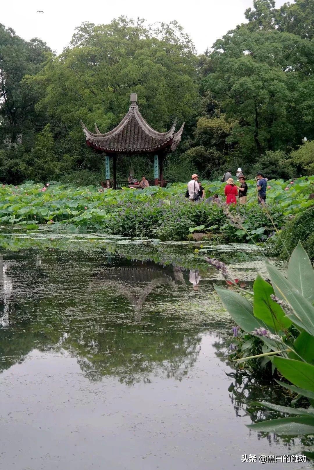 苏州除了拙政园还有哪个园林最好,苏州哪个园林最值得游玩