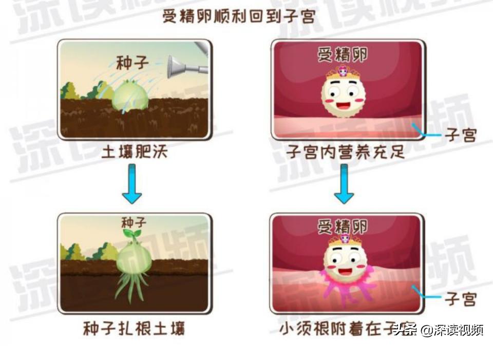 宫外孕一直流血怎么回事,宫外孕是怎么回事呢