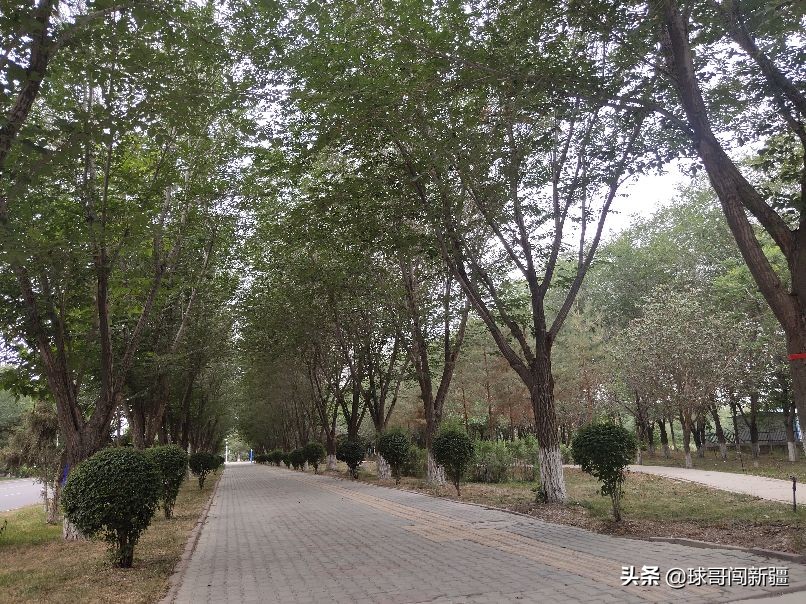 乌鲁木齐米东区的发展规划,乌鲁木齐米东区什么时候打通地铁