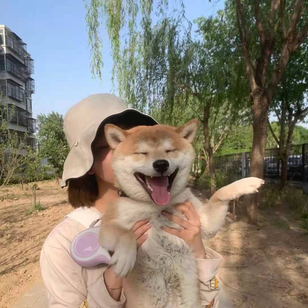 怀疑自己买到假柴了?教你如何辨别真假