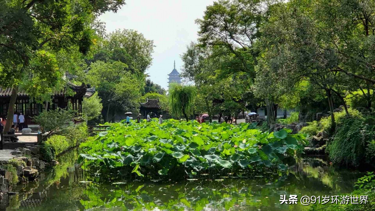 苏州拙政园园林借景,苏州最贵的园林在拙政园旁边