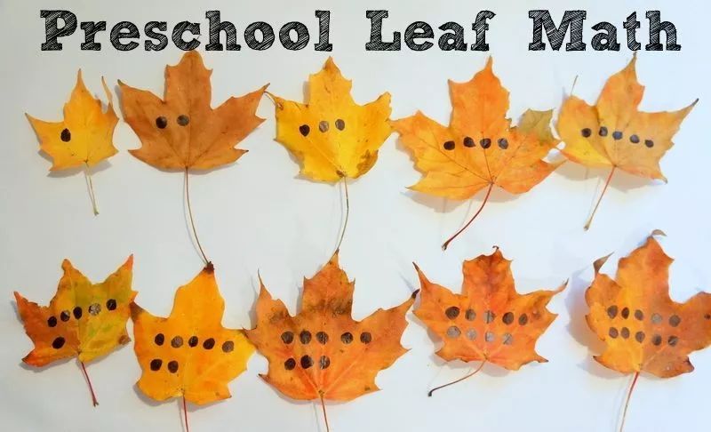 秋天落叶手工作业,秋天的颜色手工作业