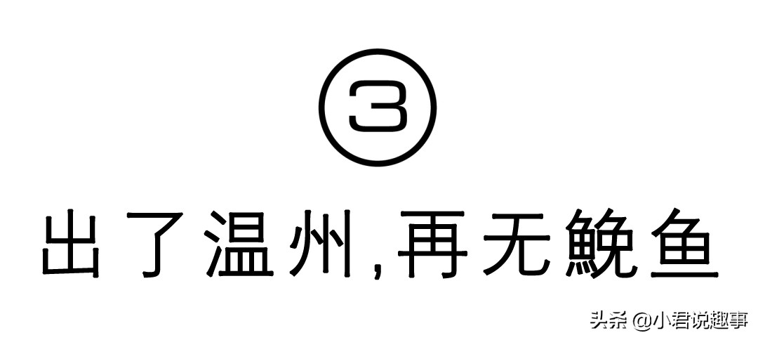 温州，除了钱和炒房团一无所有？进来认识不一样的温州