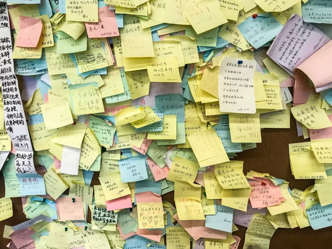 进了图书馆就不想走了的文案,进了图书馆就不想走了