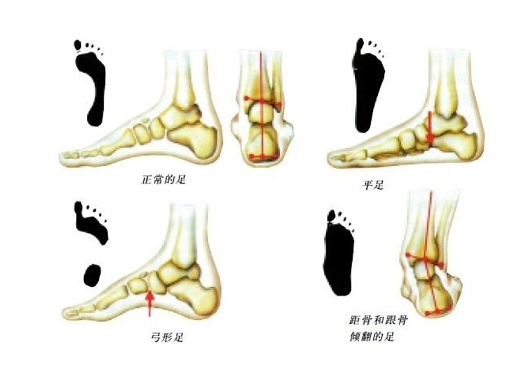 nike鞋型好看的篮球鞋,nike才出的鞋子