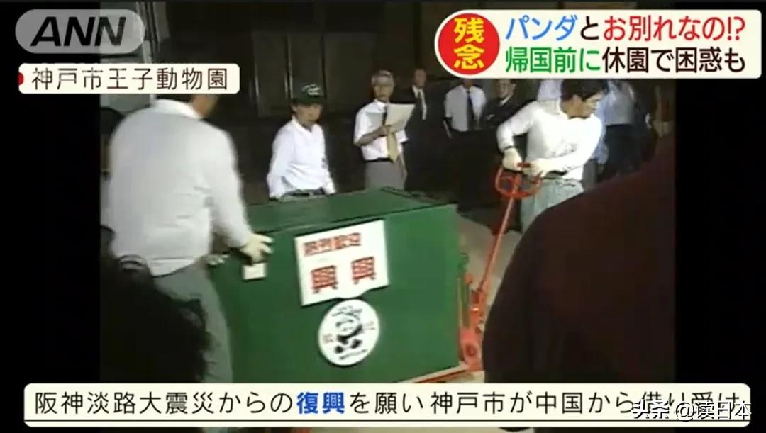 日本的顶级流量担当者大熊猫！日本人的熊猫情结疯狂到你想不到