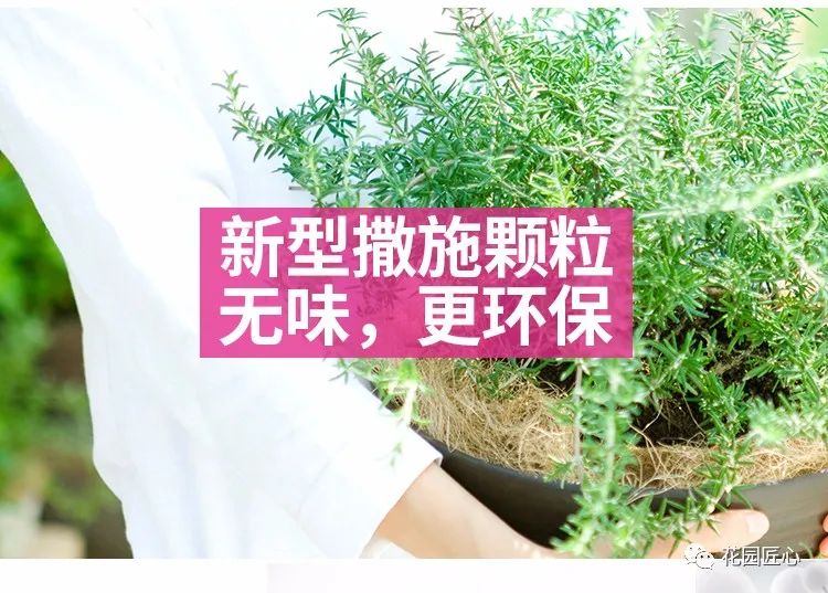 预防植物病虫害用什么药,植物病虫害防治的基本方法