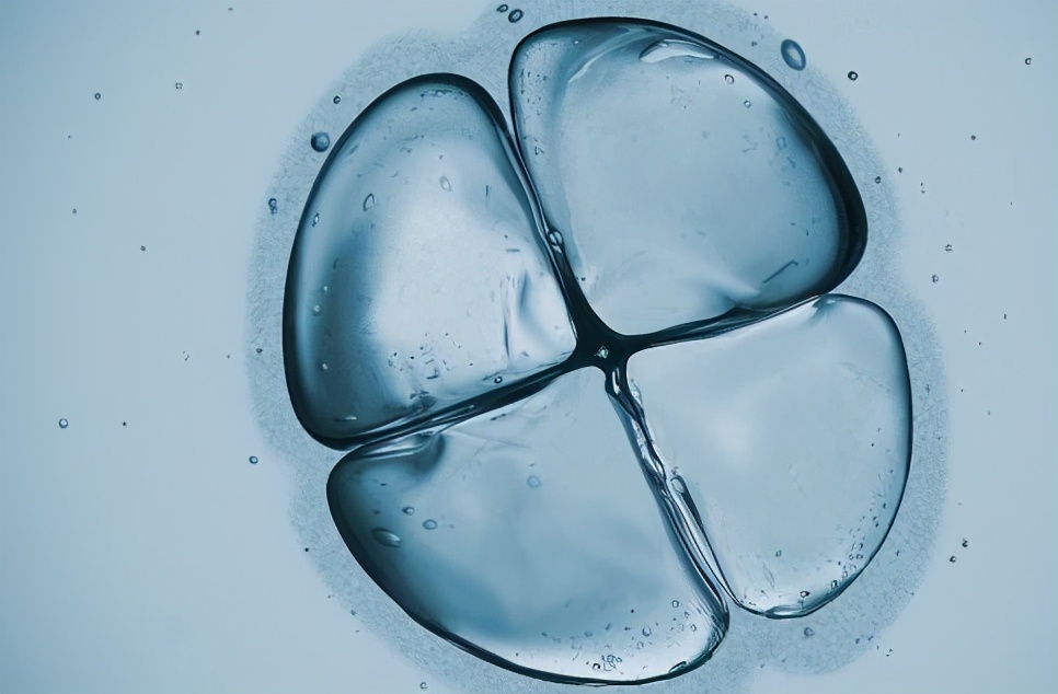 诺丽果为什么能治癌症,抗癌防癌抗衰老