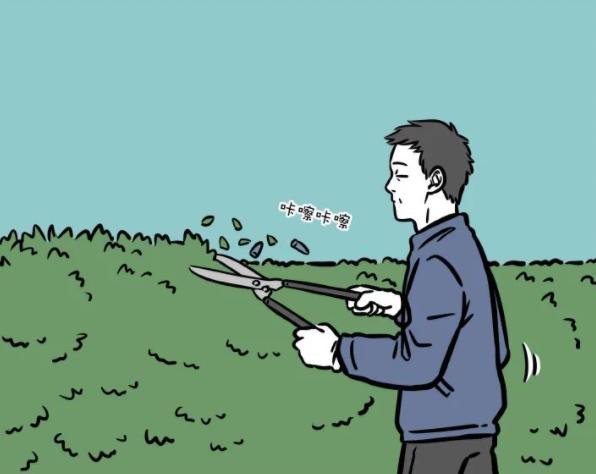 非人哉龙角掉了,非人哉朱雀拔掉青龙最珍稀的龙角