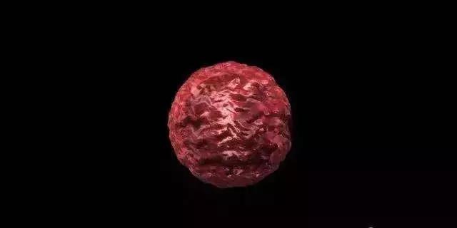 看了科普视频感想,免疫学科普视频