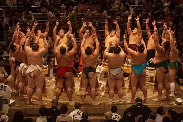 为什么日本人喜欢看两个胖胖“打架”？