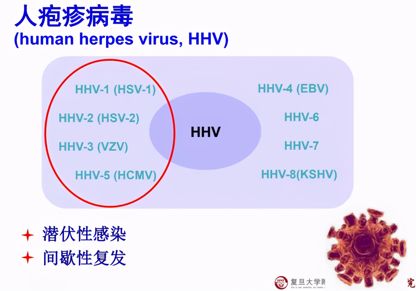孙兴怀青睫综合症,孙兴怀谈ucp治疗青光眼