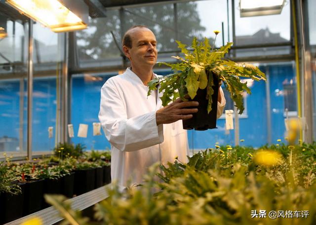 马牌汽车轮胎发展史,马牌轮胎成就你的每一程