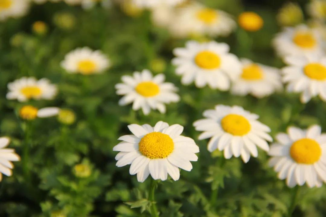 练瑜伽在孤独中强大自己,瑜伽追求更好的自己