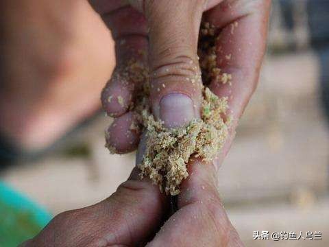 包食钓法的饵芯制作,包食钓法窝料