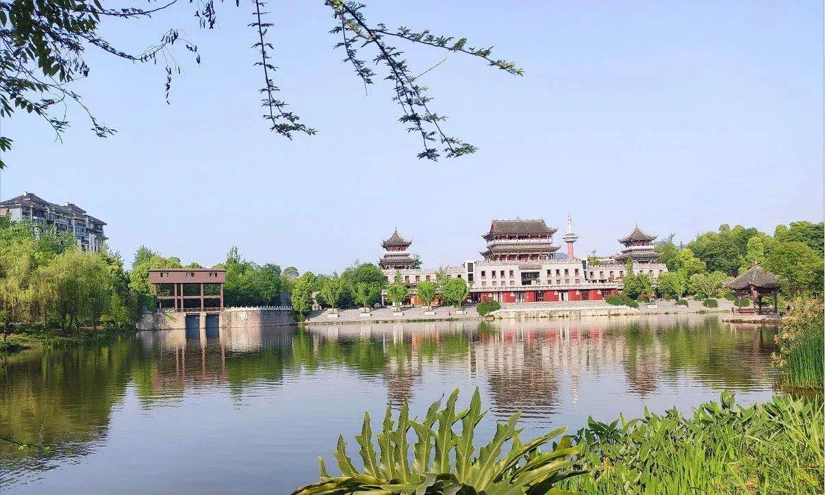 80万预算能买什么车,重庆80万能买什么