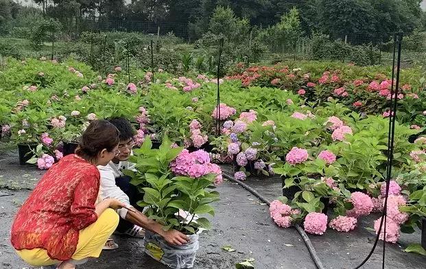 双流空港秘密花园,双流不要门票的公园