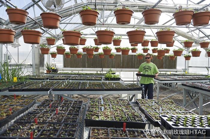 园艺疗法服务方案,园艺疗法治愈案例