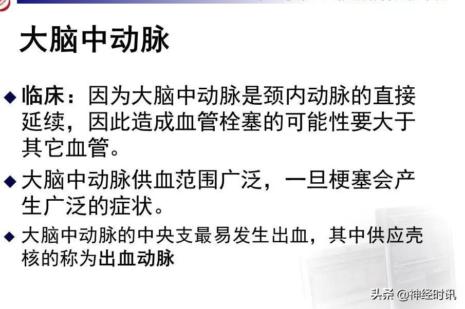 脑动脉解剖学讲解,基底节区脑血管解剖